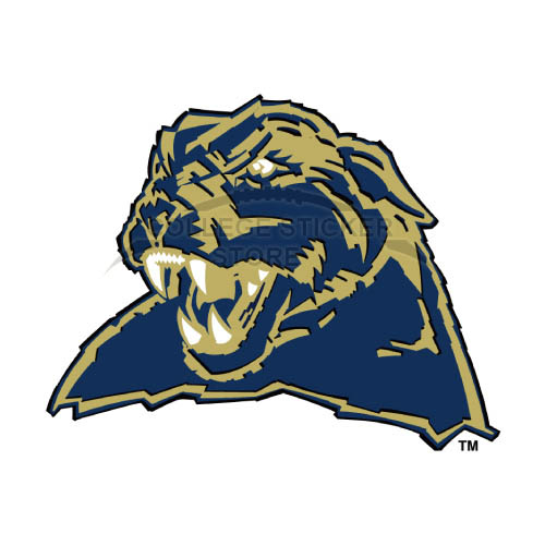 Homemade Pittsburgh Panthers Iron-on Transfers (Wall Stickers)NO.5896